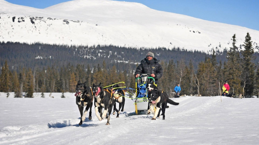 Wintersport Trysilfjell